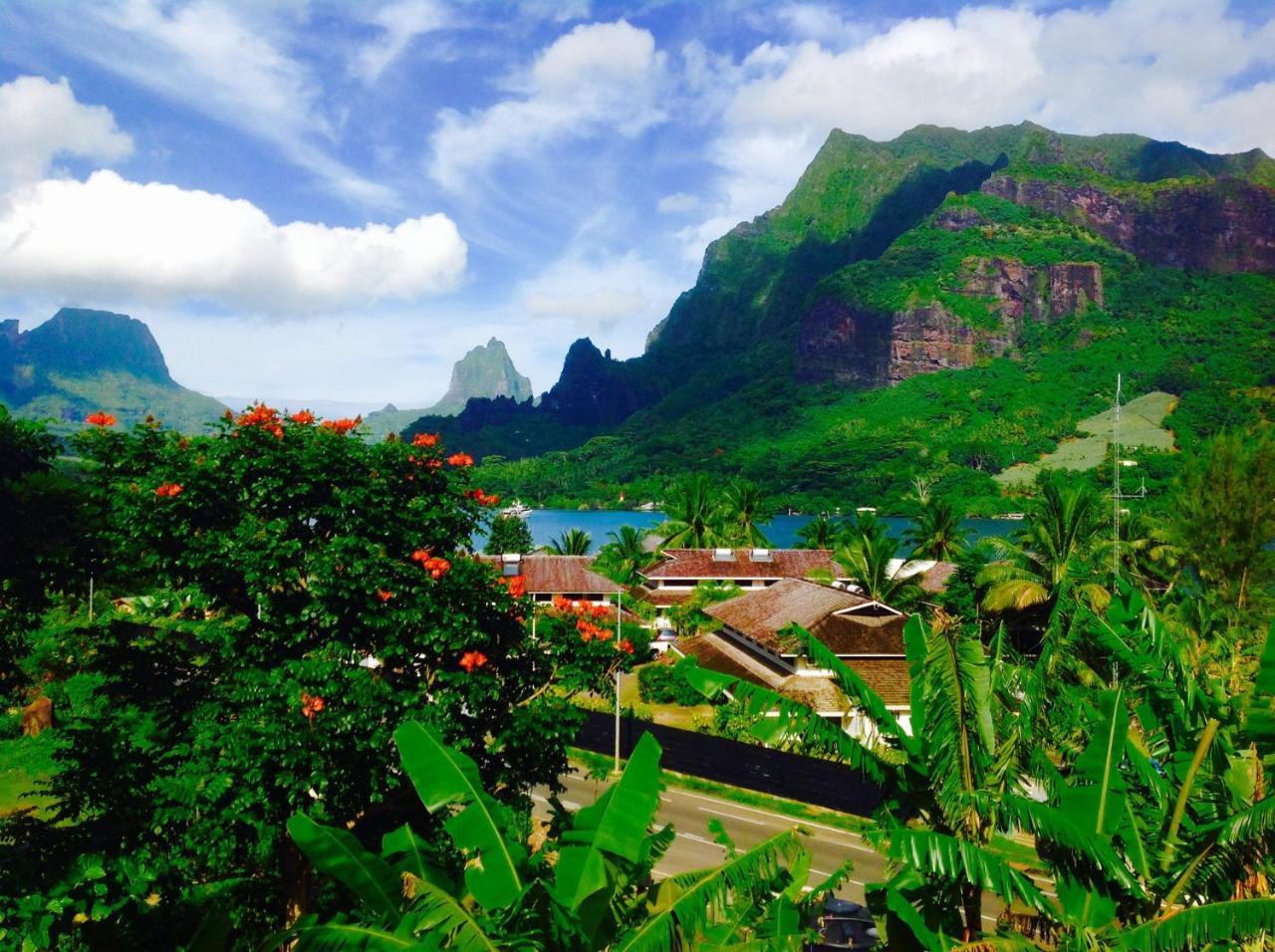 Villa Vaiana Eurl Vaiana Faratea Paopao Dış mekan fotoğraf